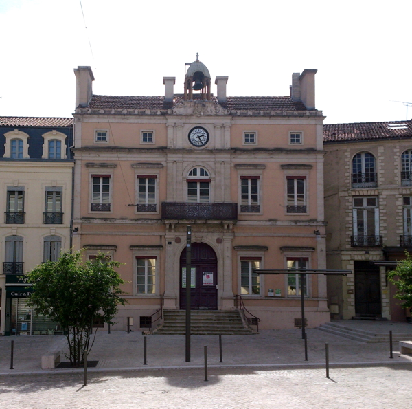 The Library of the Hotel de Ville in Mont-de-Mersan where Les Landes General Council may have met. In 1833 (at the age of 32) he was elected to the General Council of Les Landes to advise the local government on economic matters. He gave a number of speeches on tax policy and public works projects.